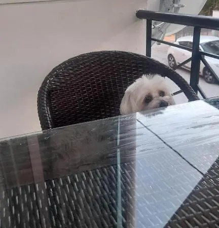 Holidays Nea Peramo *