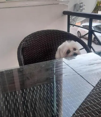 Holidays Nea Peramo *